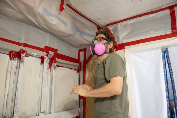 Trusted Bandon, OR Mold Removal Experts