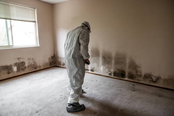 Best Biohazard Mold Removal  in Bandon, OR